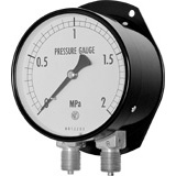  | Model No. GD1_ Duplex Pressure Gauge